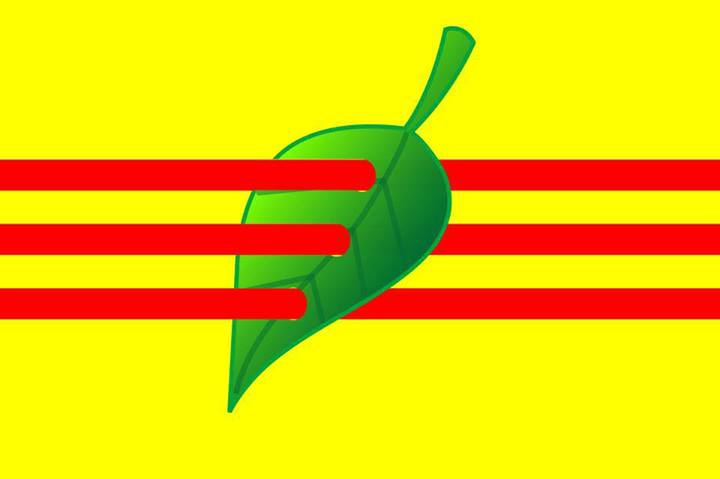 Có bao nhiêu màu trên cờ 3 sọc Việt Nam?
