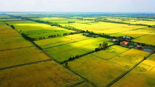 Cách nhận biết các loại đất trong hệ thống pháp luật Việt Nam