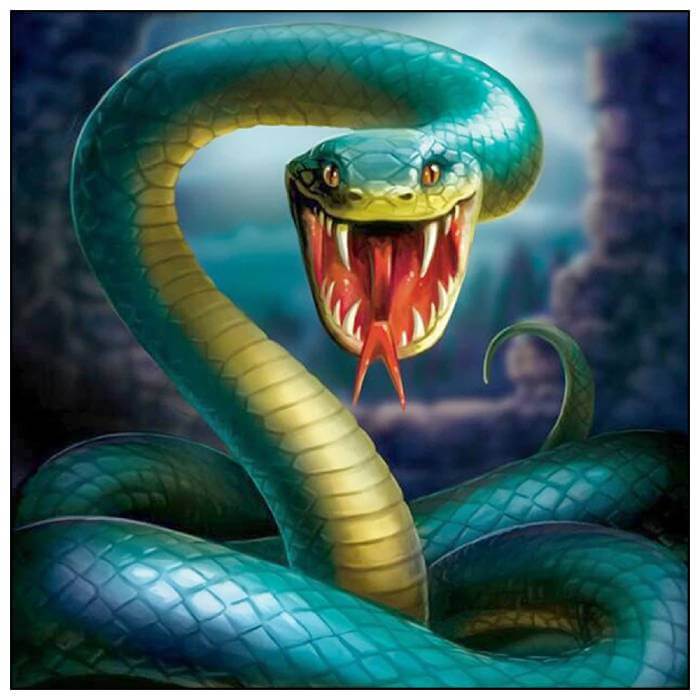 Giải mã giấc mơ thấy rắn - Mơ thấy rắn là tốt hay xấu?